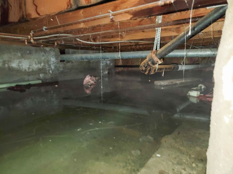 Crawlspace Water Cleanup in Wilmington, NC