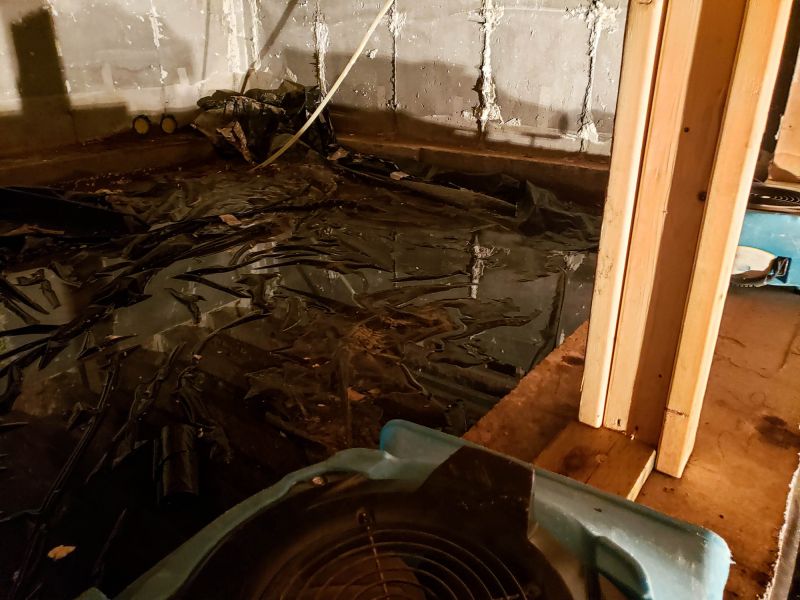 Water Extraction Service in Santa Rosa, CA