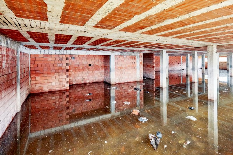 Crawlspace Water Restoration in Napa, CA